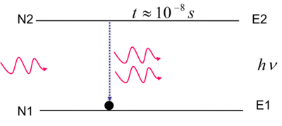 Stimulated Emission